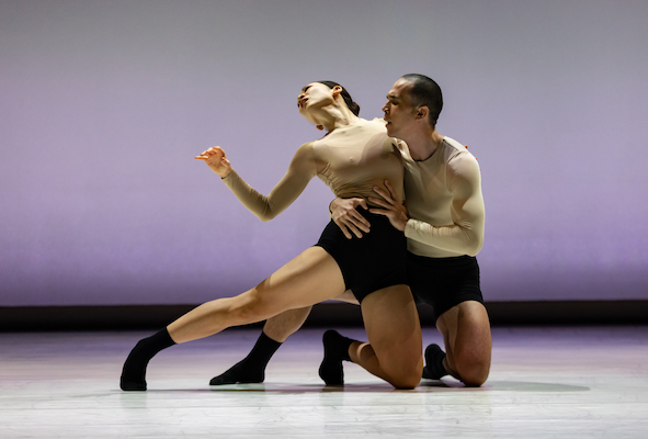 Persistence of Memory by Ballet Edmonton