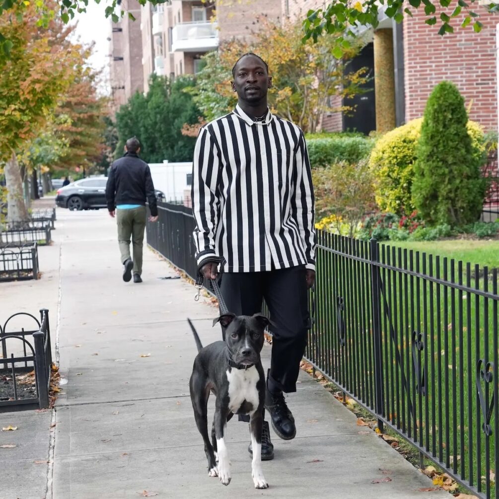 Gilbert T Small II, Gibney Company director, walking Sylvester in NY. Photo: Michelle V. Agins, The New York Times